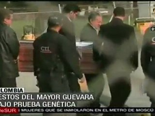Restos del Mayor Guevara, bajo prueba genética