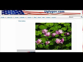 www.uglygov.com - How to Add Pictures to Your Wall