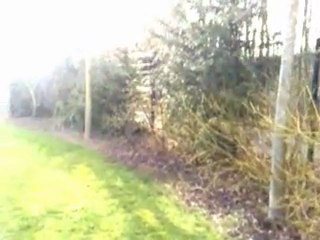 Un petit tour dans la nature : Parc7