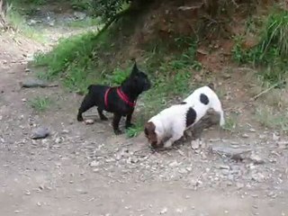 Janas le 03 / 04 / 2010