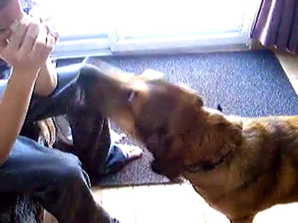 Slinnky chante avec une balle