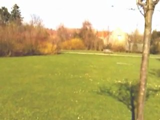 Un petit tour dans la nature : Parc6