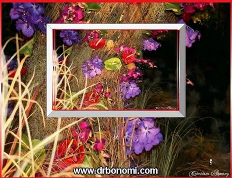 Video 144 EL SECRETO y la ley de atraccion de rhonda byrne