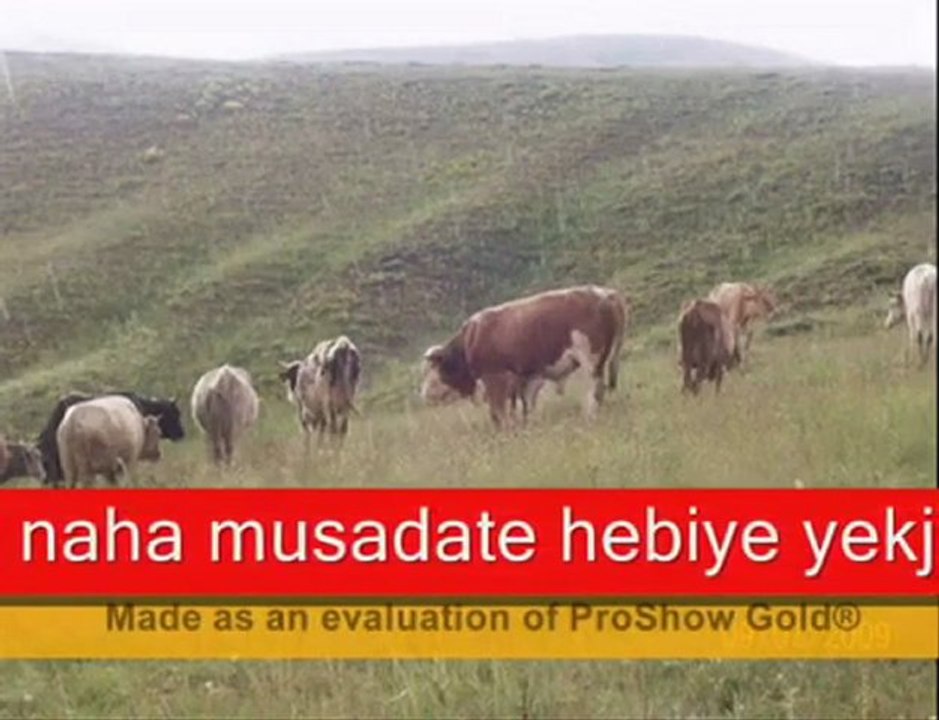 Mihemedê Canşah siperış 0535-553-27-15-0212-477-92-51