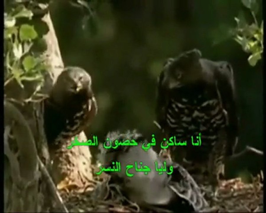 ترنيمة الرب رايتي انا ساكن في حصون الصخر