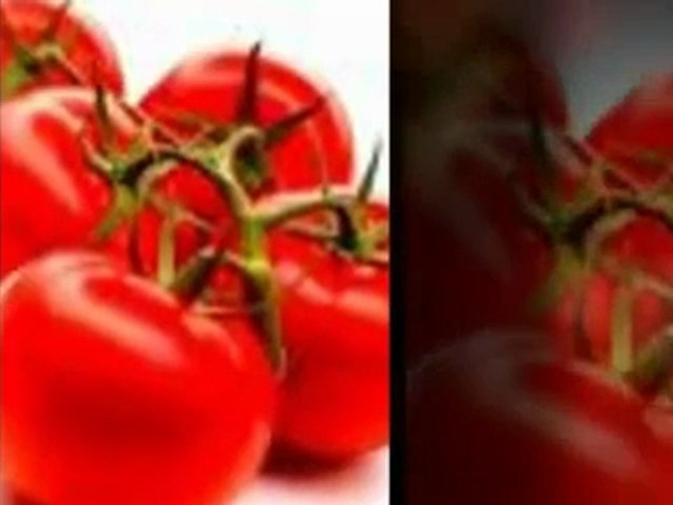 Home and Garden Easy