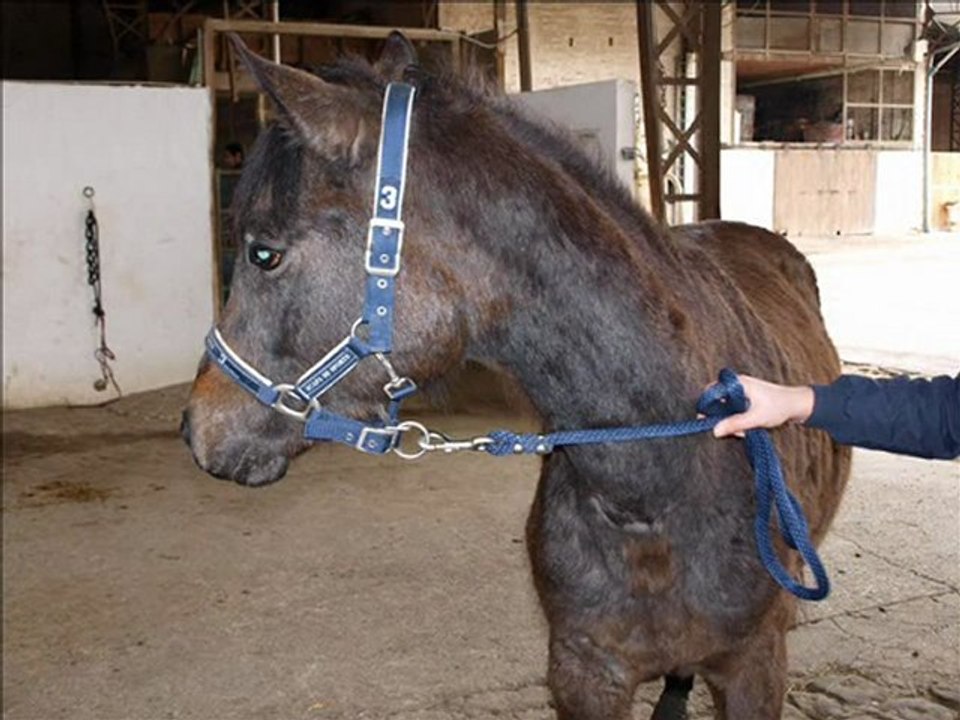 Unann de sa naissance à maintenant