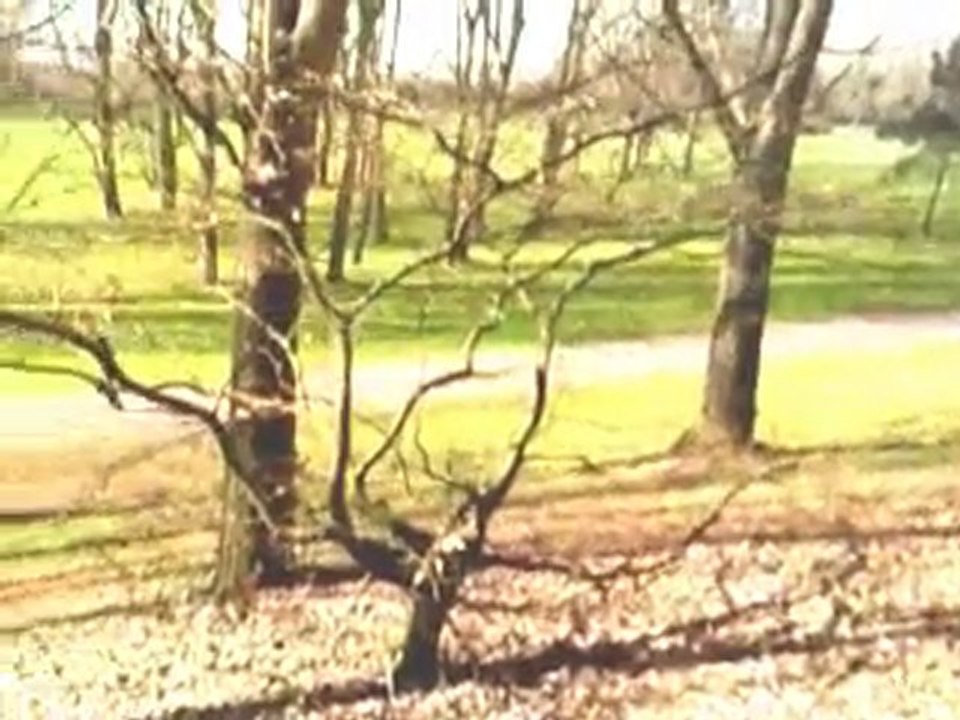 Un petit tour dans la nature : Parc 3