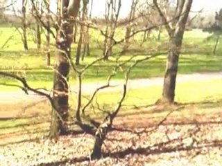 Un petit tour dans la nature : Parc 3