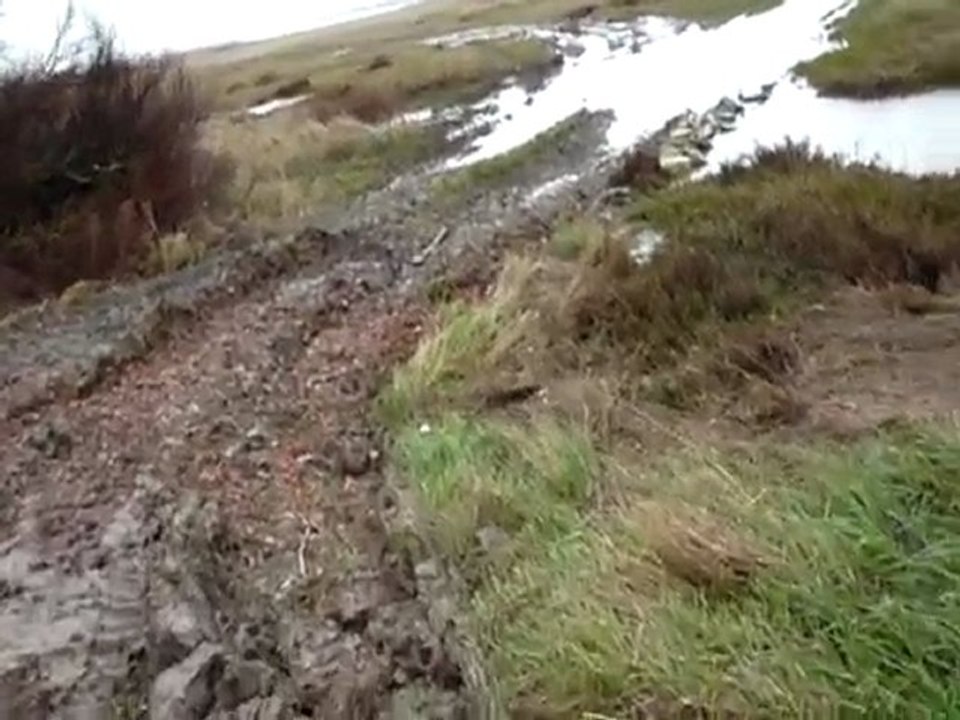 Arrivée des pelles à chenilles sur la digue de St Laurent