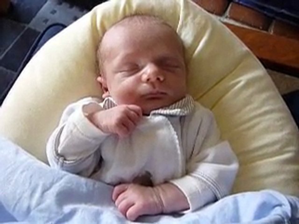 Sieste