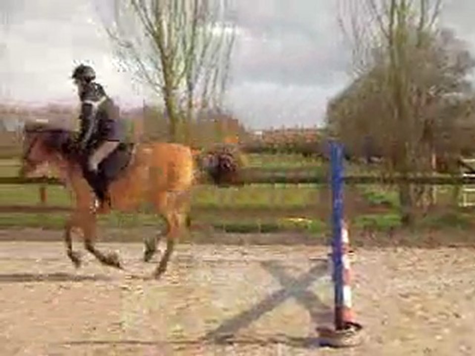Pilou séance saut moi