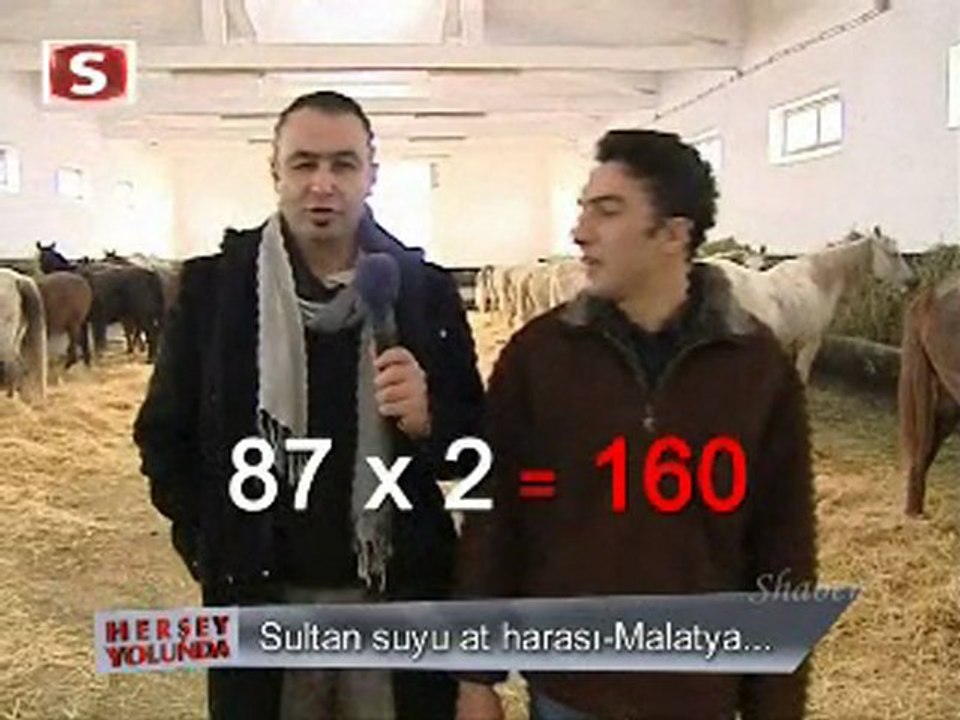 Malatya Sultan Suyu At harası 1 her şey yolunda
