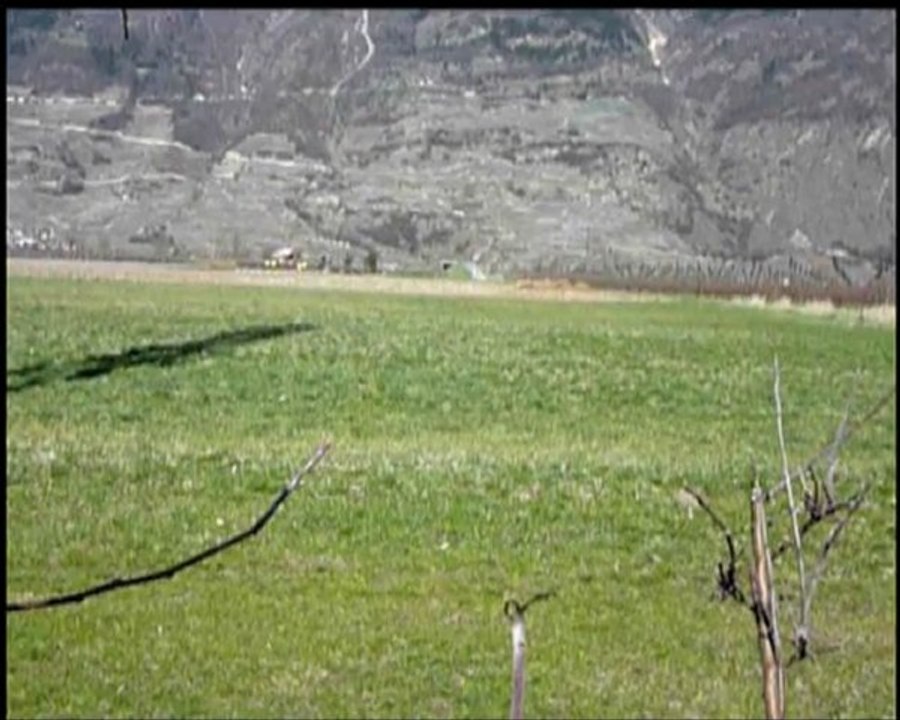 Align T-rex 250SE first flight