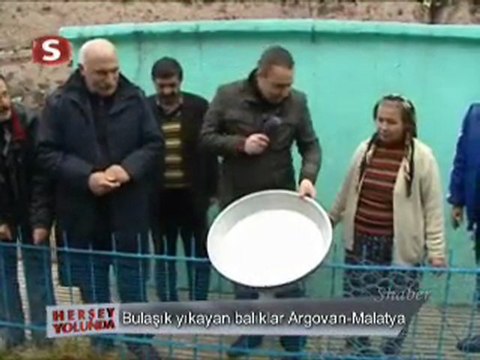 Malatya Bulaşık temizleyen balıklar her şey yolunda