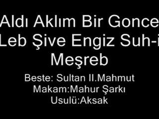 Aldi aklim bir gonce leb sive engiz suh-i mesreb