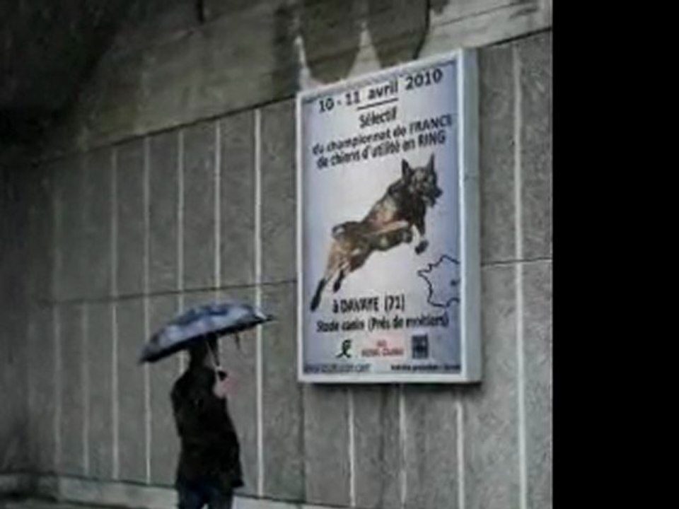 l'avant seléctif ring 2010