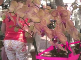 farmers market adventure (#1)