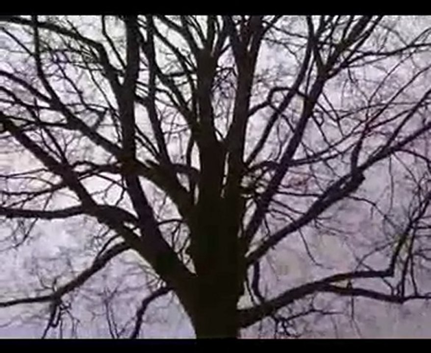 Chasseurs de fantomes a l'arbre de la Justice en Belgique