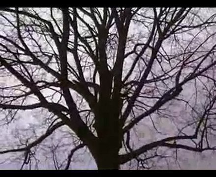 Chasseurs de fantomes a l'arbre de la Justice en Belgique