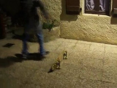 petit ollie par dessus une board