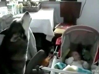 Köpekten Bebeğe Ninni...