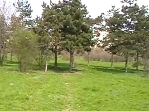 Park Alexandru Ioan Cuza - 02.April.2010 cd3