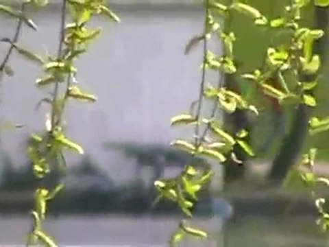 Park Alexandru Ioan Cuza - 02.April.2010 cd10