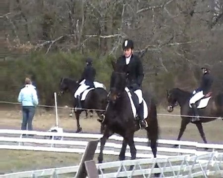 Virginie Dressage La Flèche 22 mars 2010