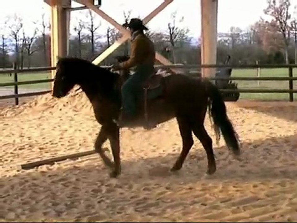 John & Mistral concours d'entrainement trail- 21/02/2010