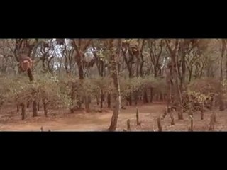 Claire Denis - White Material (2010) - extrait