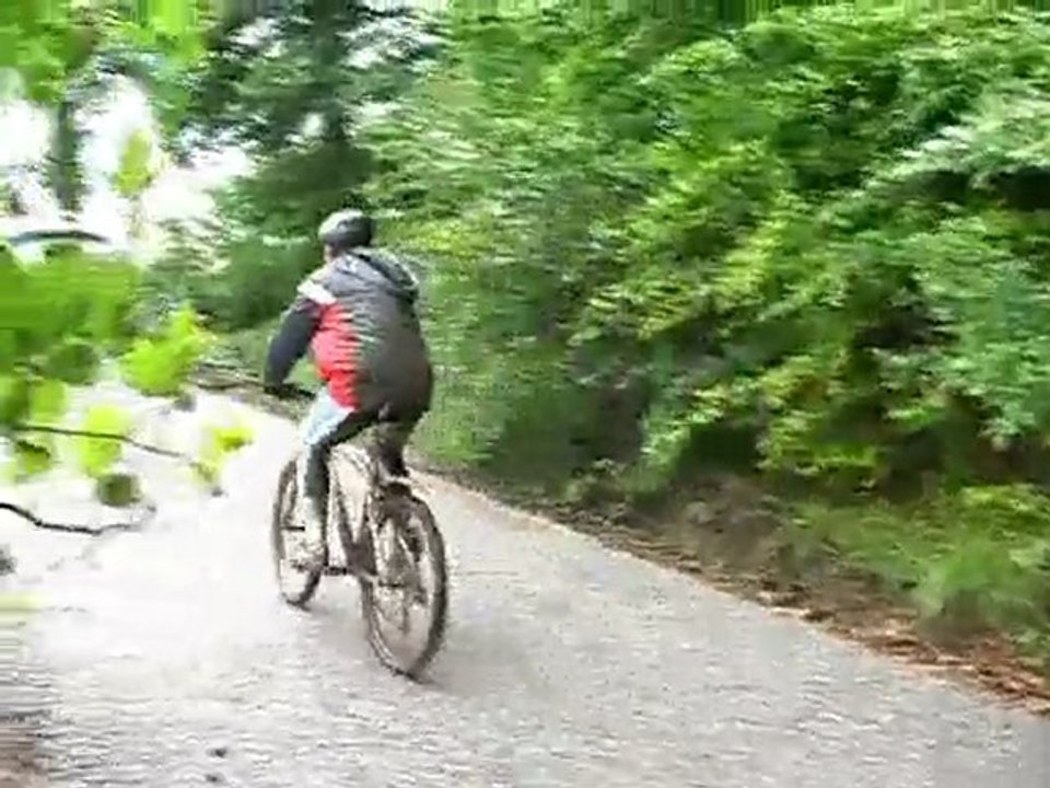 VTT 2007