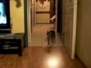 Poosh ramène la balle
