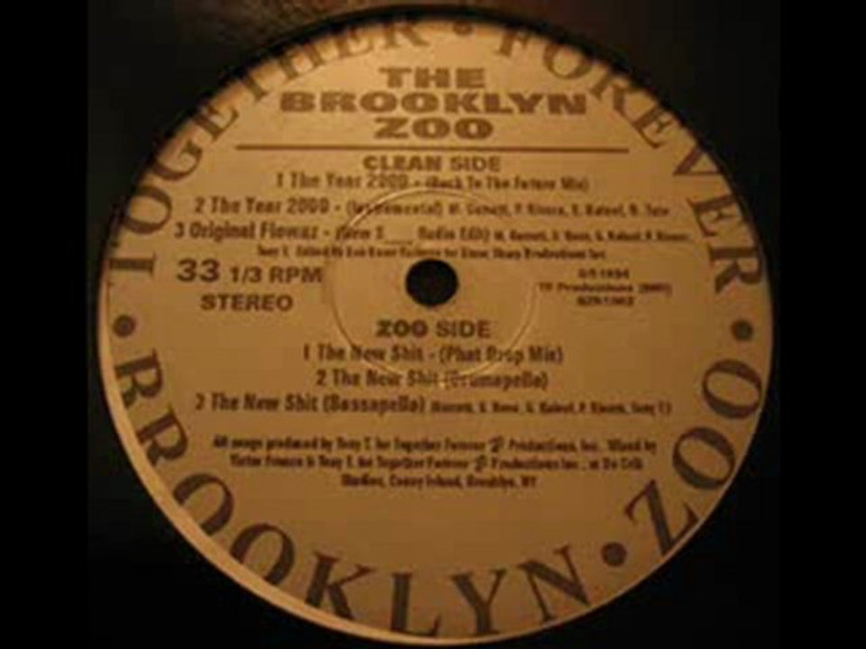 The Brooklyn Zoo - The Year 2000
