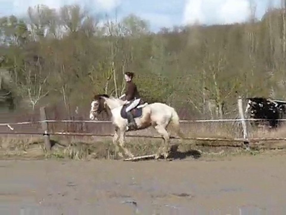 Malcom et moi / saut de puce
