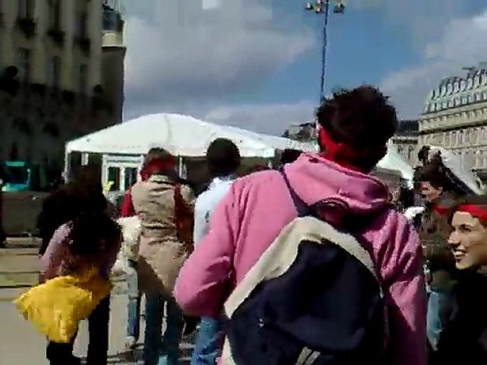 International pillow fight 2010 -- Bordeaux (1)