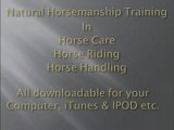 Natural Horse Care & Horse Riding Free Training