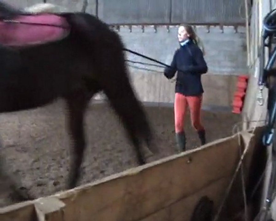 Hope aux longues rênes