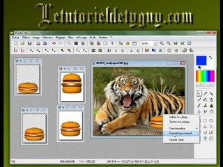 comment ajouter un gif animé sur une image