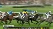 vidéo Quinté a saint-cloud PRIX DU LANGUEDOC