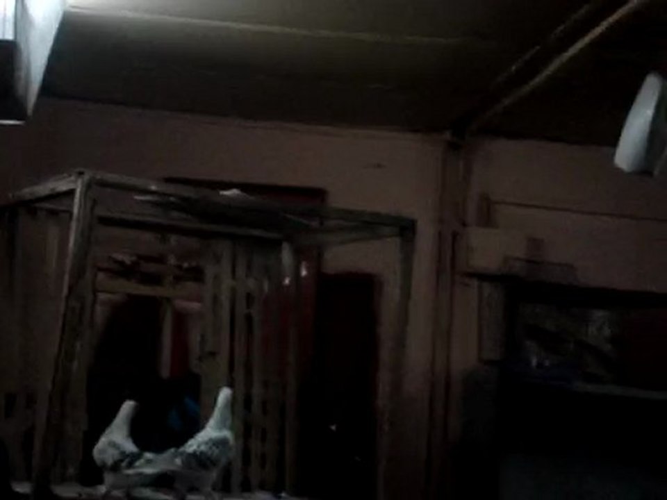 Yalova mezat (güvercin açık artırma)