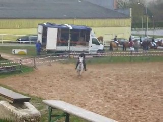 concours du 24 janvier 2010 ( indigo et élisa )