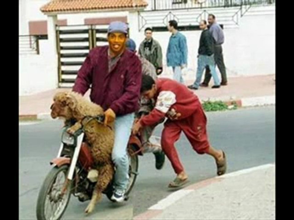 راب عربي (تونسي) الهجرةRAP TUNISIEN