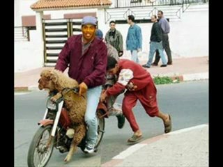 راب عربي (تونسي) الهجرةRAP TUNISIEN