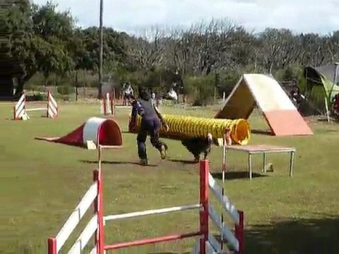 Angie - GPF St Martin de Crau