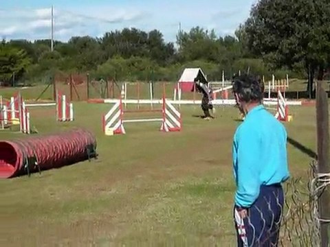 Angie - Jumping St Martin de Crau