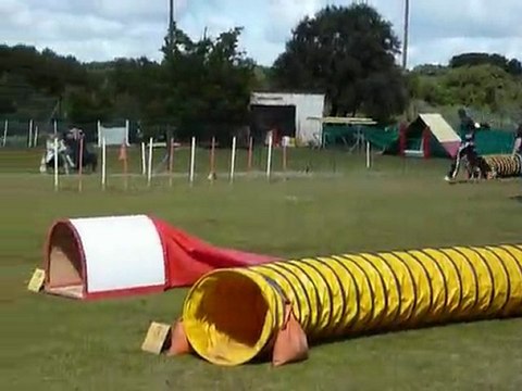 Brownie - GPF St Martin de Crau