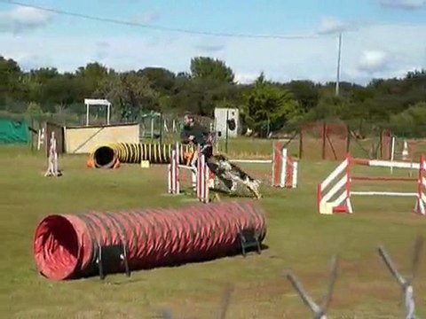 Brownie - Jumping St Martin de Crau