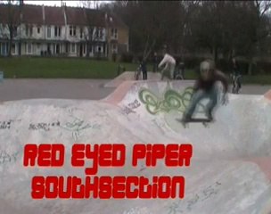Red Eyed Piper - Southsection