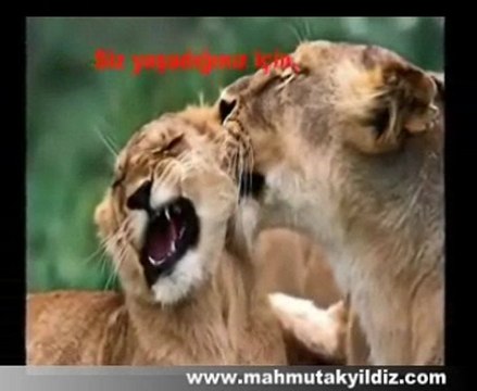 Sık Sık ve Çok Gülmek - Op. Dr. Mahmut Akyıldız